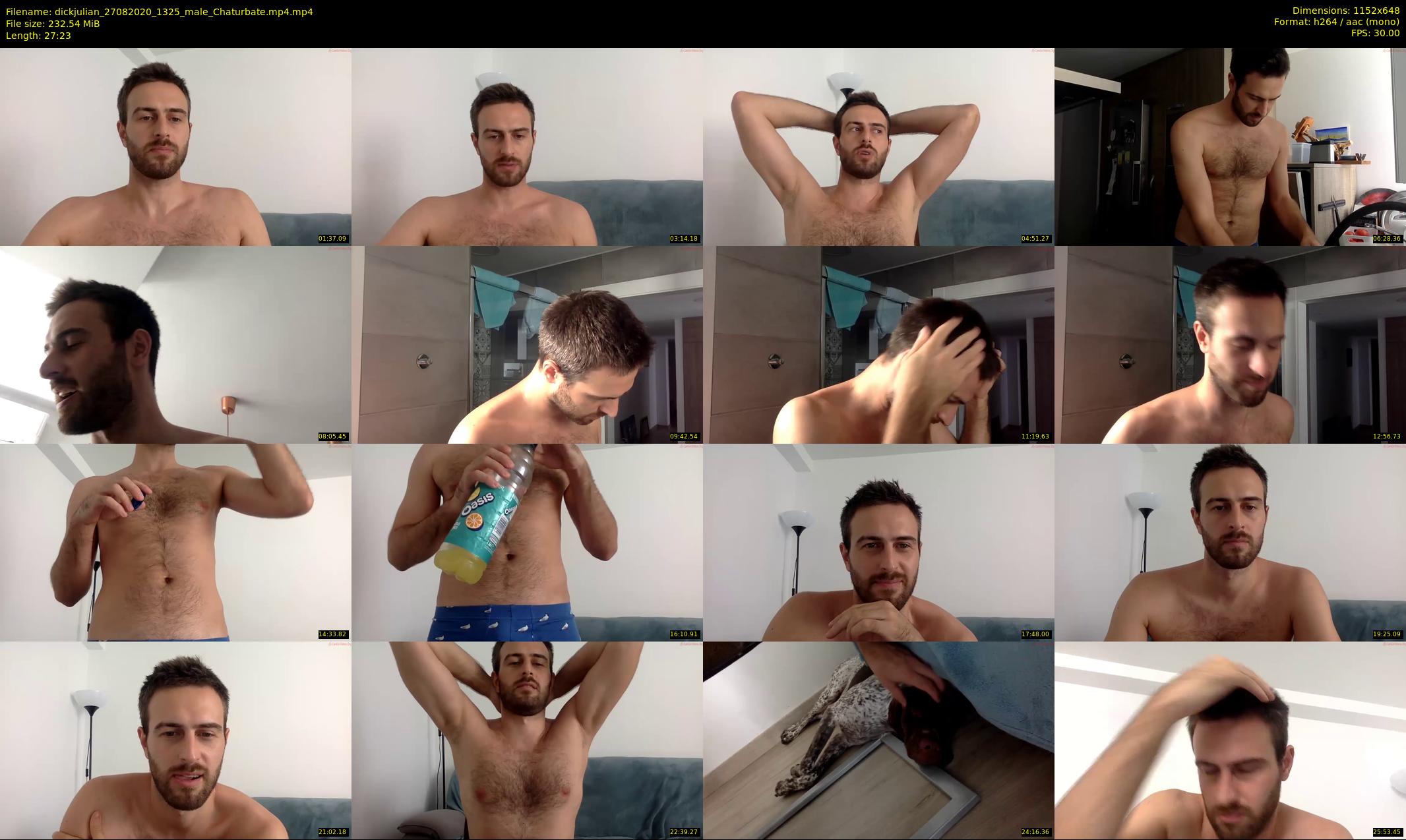 dickjulian — 28 minute Chaturbate male cam show recording, 480p, Aug 27, 2020
