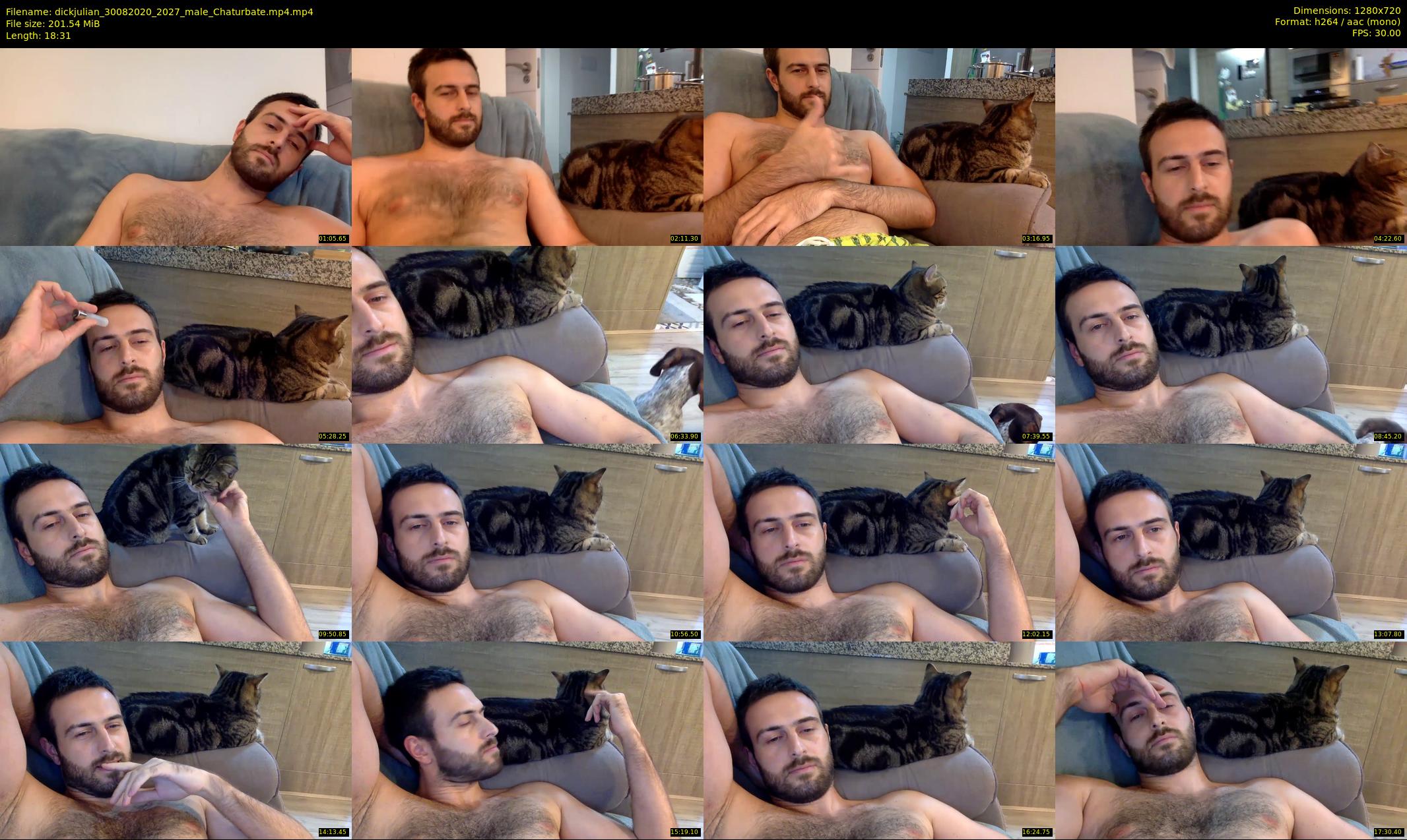 dickjulian — 19 minute Chaturbate male cam show recording, 720p, Aug 30, 2020
