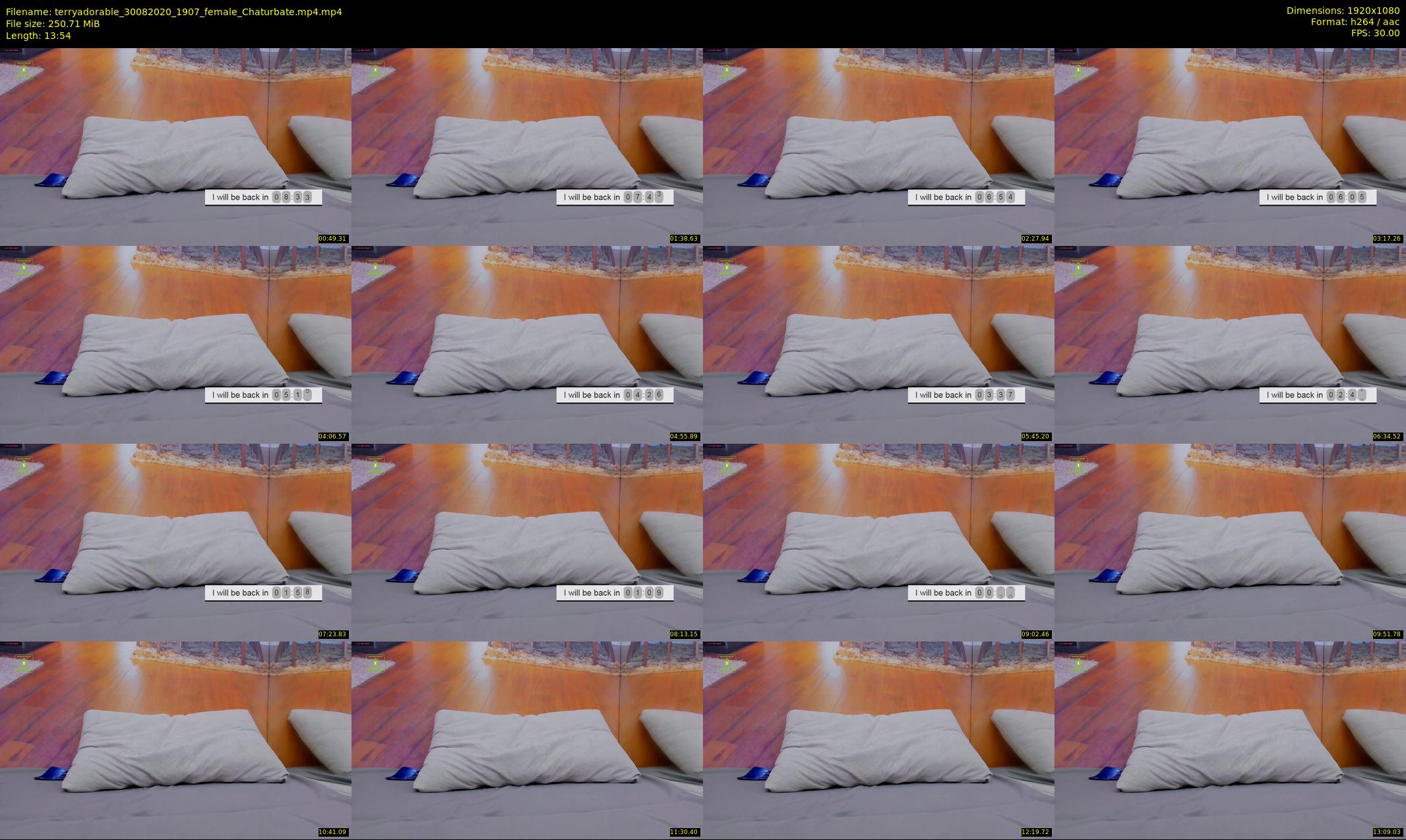 terryadorable — 14 minute Chaturbate female cam show recording, 1080p, Aug 30, 2020
