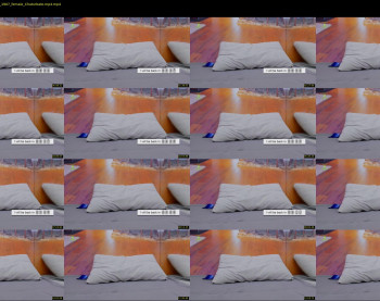 terryadorable — 14 minute Chaturbate female cam show recording, 1080p, Aug 30, 2020