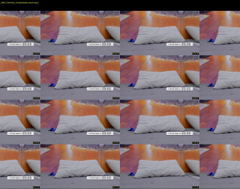 terryadorable — 36 minute Chaturbate female cam show recording, 1080p, Aug 30, 2020