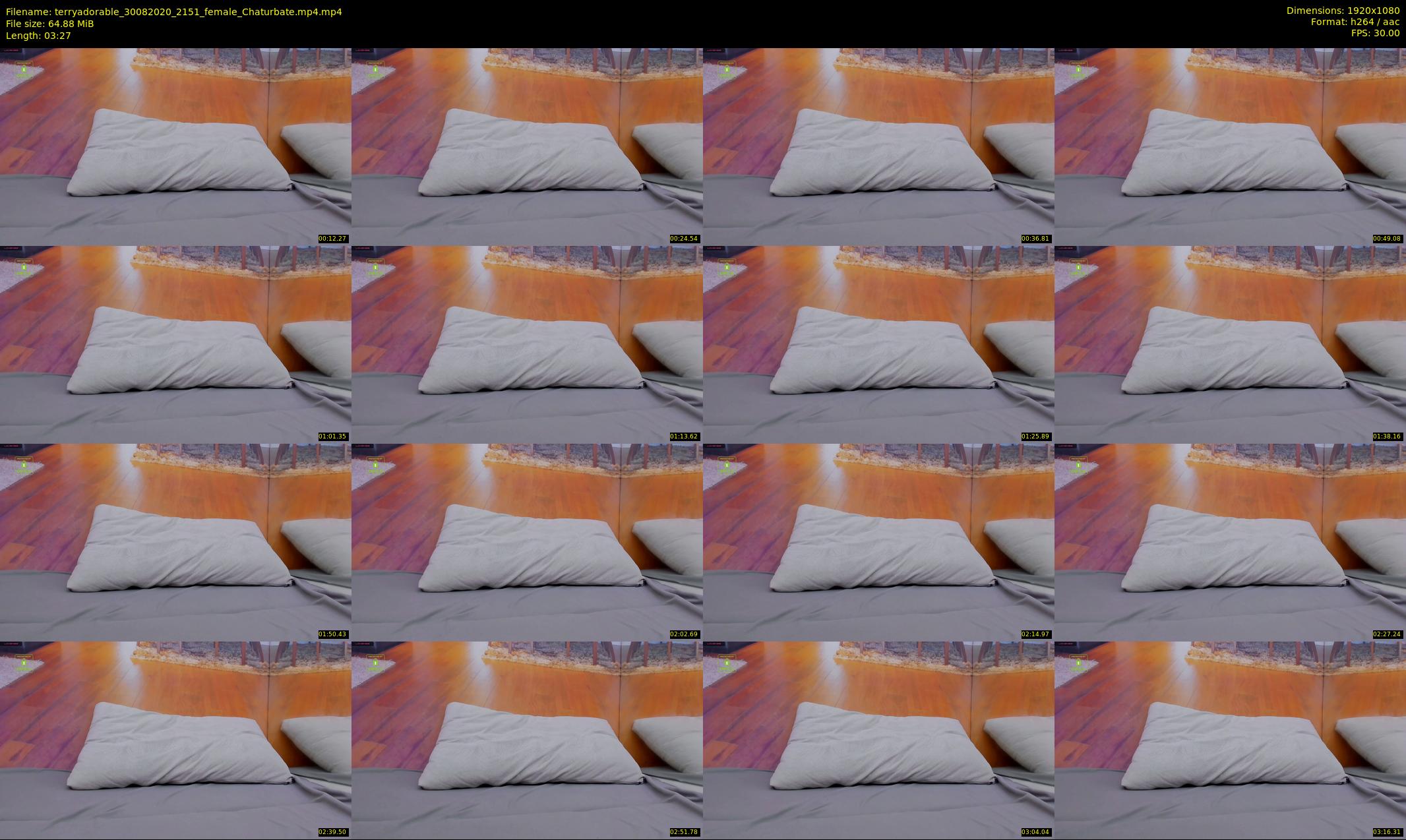 terryadorable — 4 minute Chaturbate female cam show recording, 1080p, Aug 30, 2020