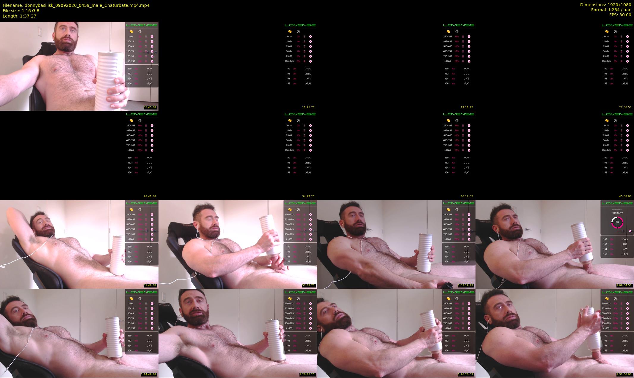 donnybasilisk — 98 minute Chaturbate male cam show recording, 1080p, Sep 9, 2020