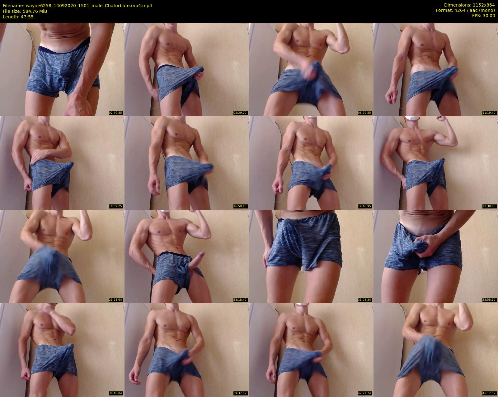 wayne6258 — 48 minute Chaturbate male cam show recording, 720p, Sep 14, 2020