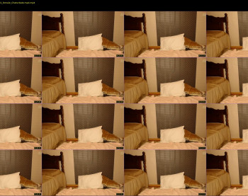 nicky_owl — 39 minute Chaturbate female cam show recording, 720p, Sep 19, 2020