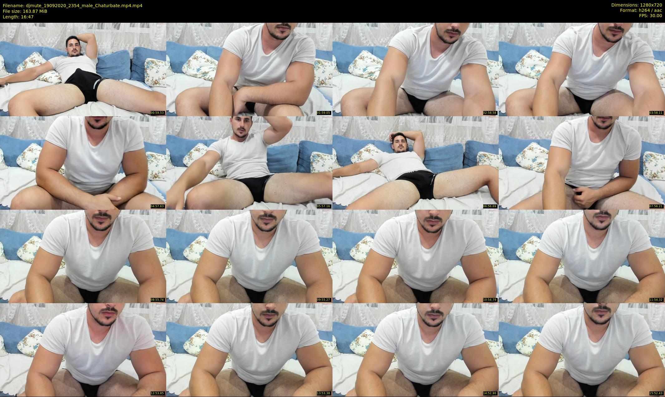 djmute — 17 minute Chaturbate male cam show recording, 720p, Sep 19, 2020