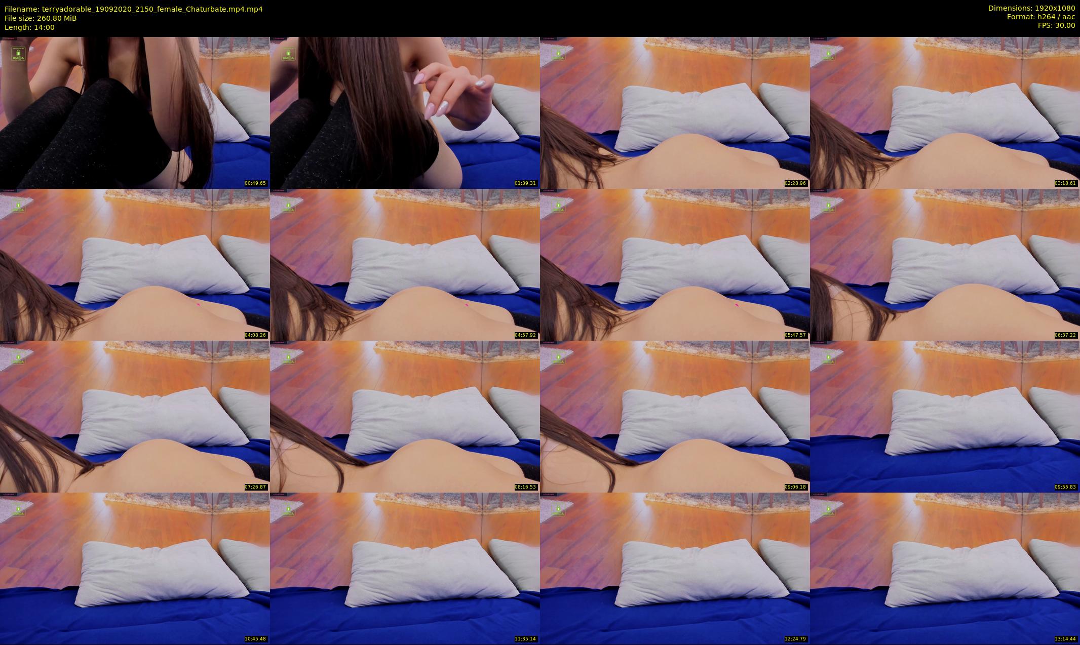 terryadorable — 14 minute Chaturbate female cam show recording, 1080p, Sep 19, 2020