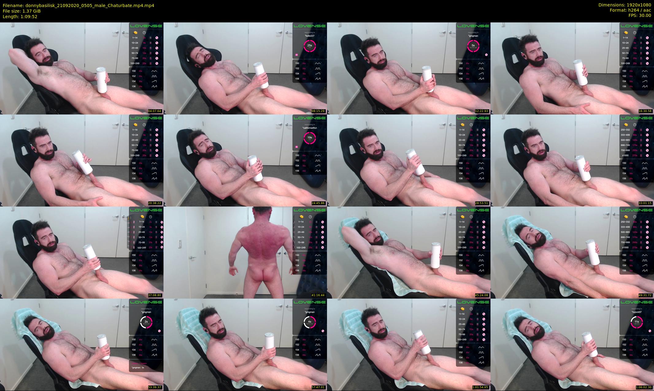 donnybasilisk — 70 minute Chaturbate male cam show recording, 1080p, Sep 21, 2020