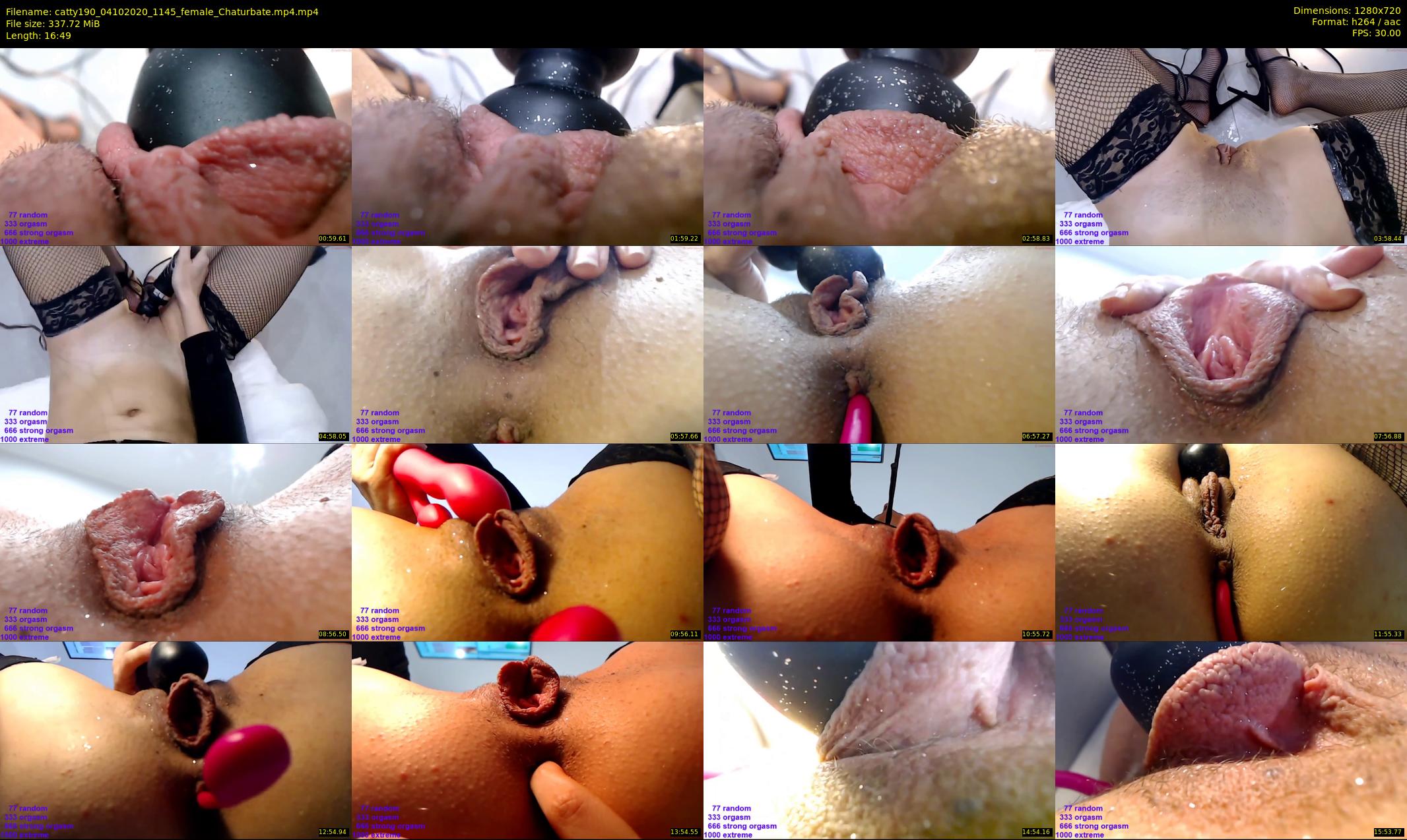 catty190 — 17 minute Chaturbate female cam show recording, 720p, Oct 4, 2020