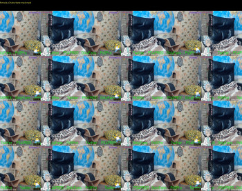 ps4pro — 28 minute Chaturbate female cam show recording, 720p, Oct 6, 2020