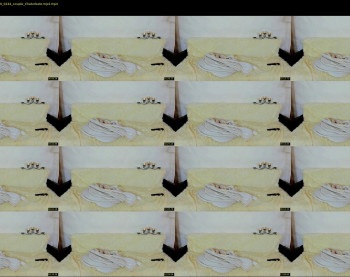 abogailmaartin — 13 minute Chaturbate female cam show recording, 1080p, Oct 8, 2020