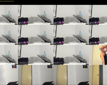 aliz_01 — 21 minute Chaturbate female cam show recording, 1080p, Oct 7, 2020