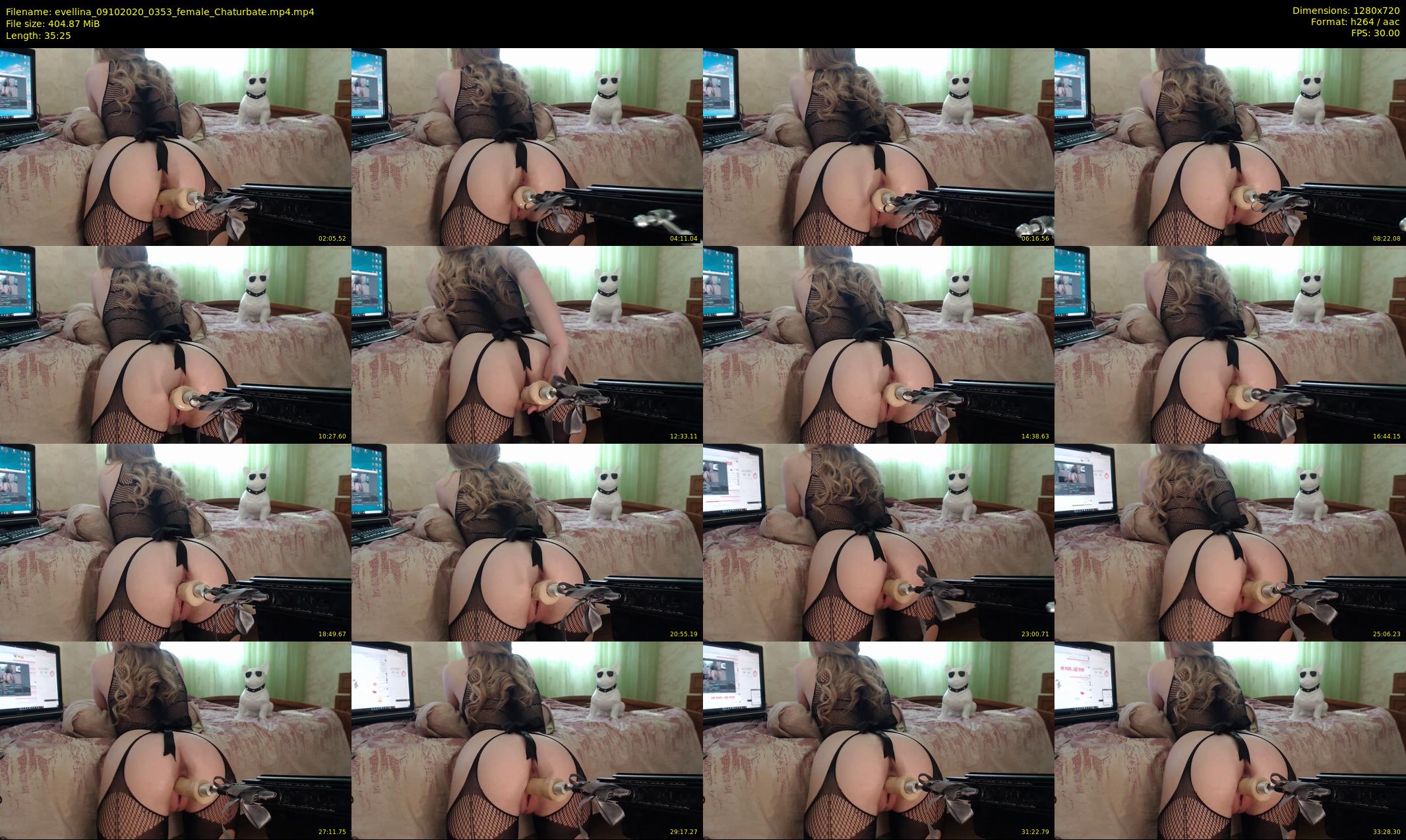 evellina — 36 minute Chaturbate female cam show recording, 720p, Oct 9, 2020