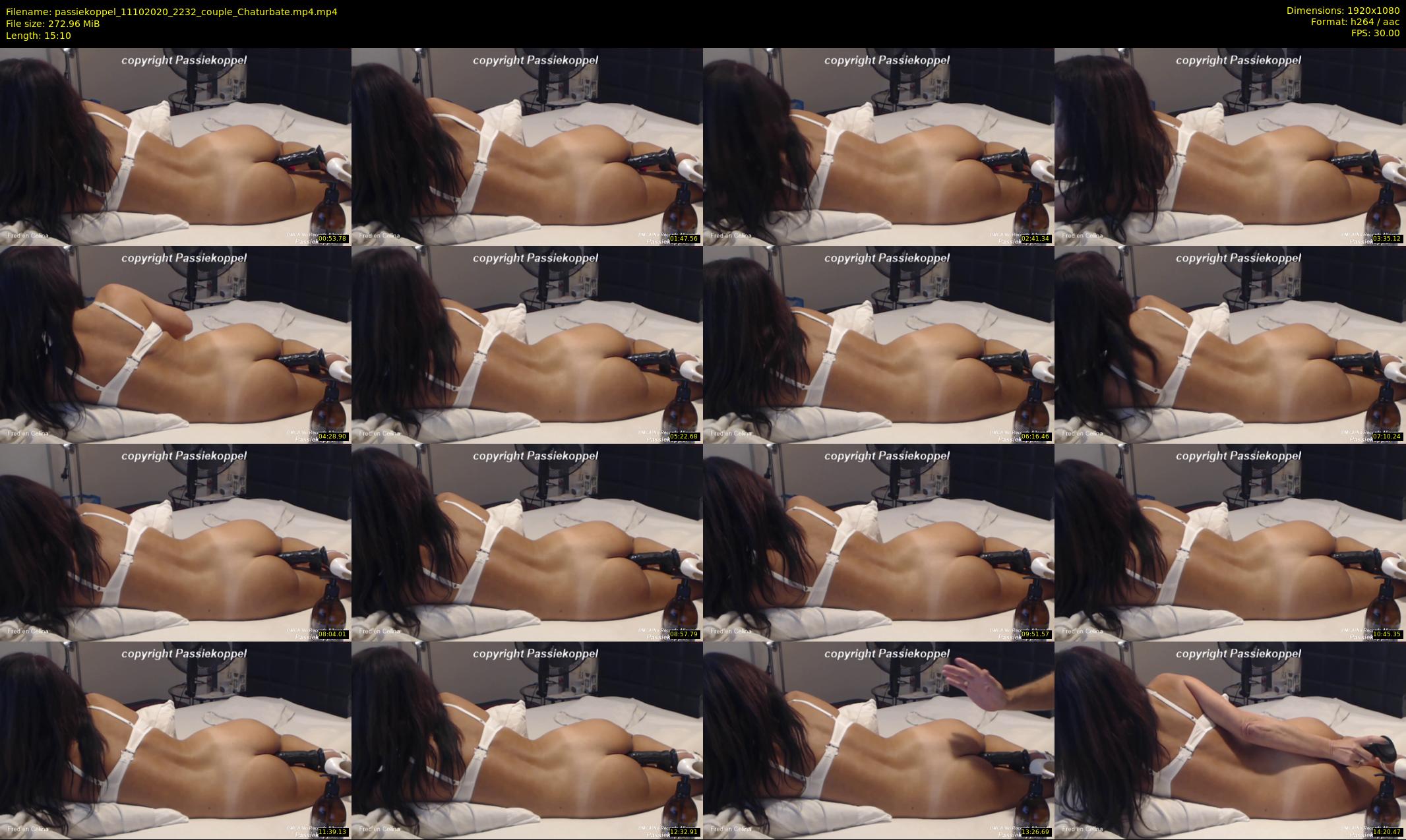 passiekoppel — 16 minute Chaturbate couple cam show recording, 1080p, Oct 11, 2020