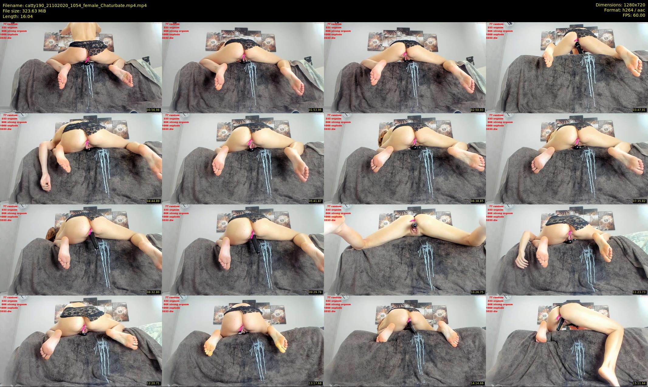catty190 — 17 minute Chaturbate female cam show recording, 720p, Oct 21, 2020