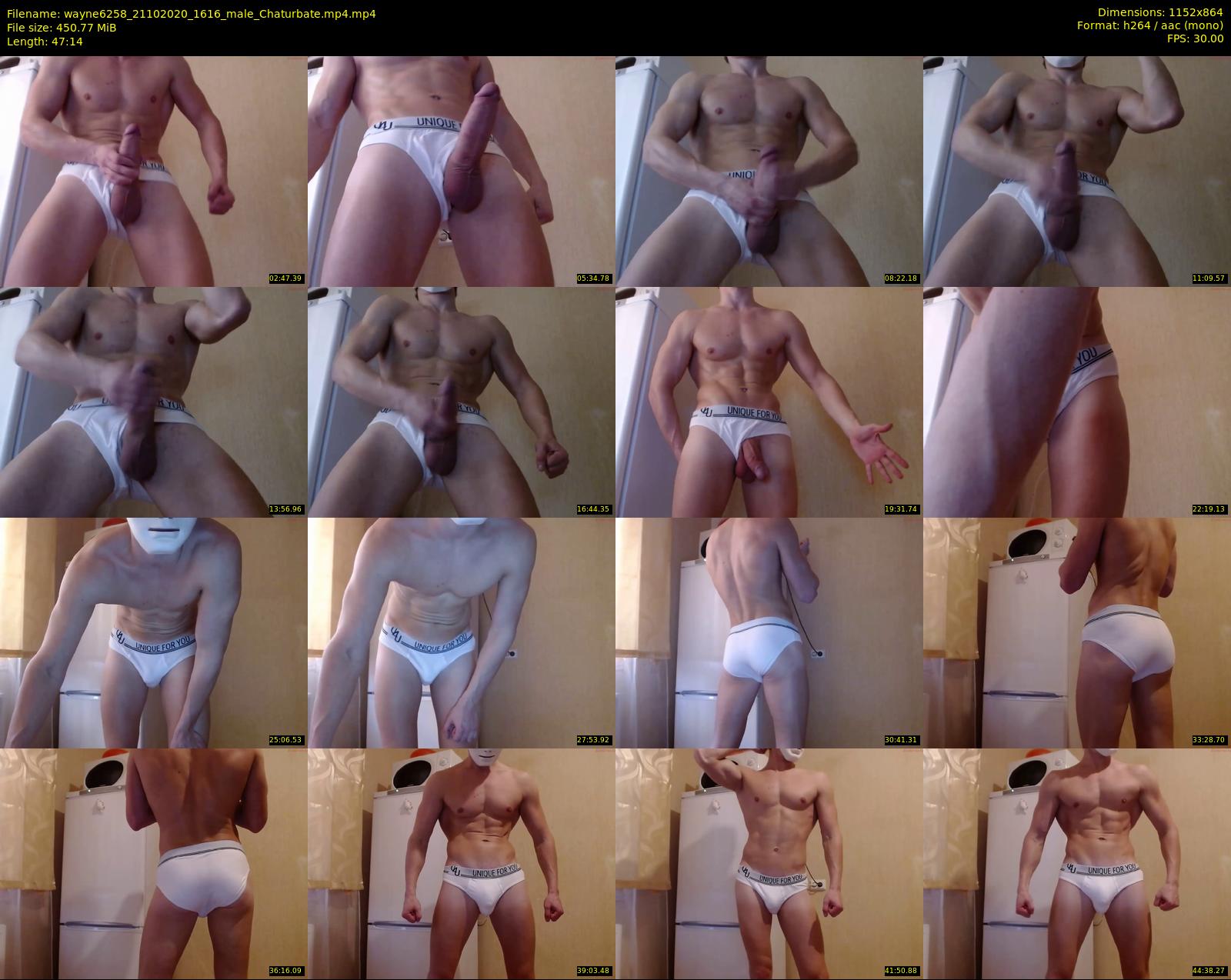 wayne6258 — 48 minute Chaturbate male cam show recording, 720p, Oct 21, 2020