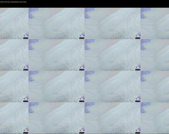 dianaholiday — 30 minute Chaturbate female cam show recording, 1080p, Oct 24, 2020