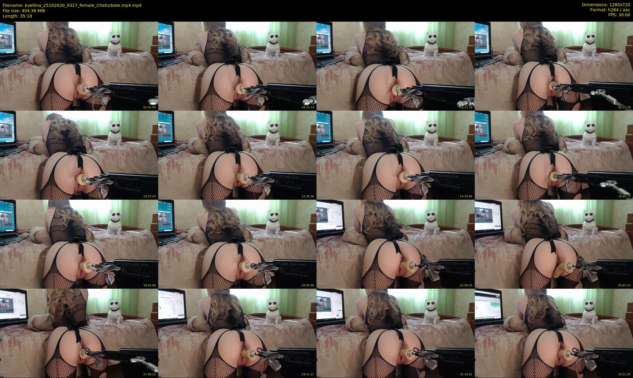 evellina — 36 minute Chaturbate female cam show recording, 720p, Oct 25, 2020