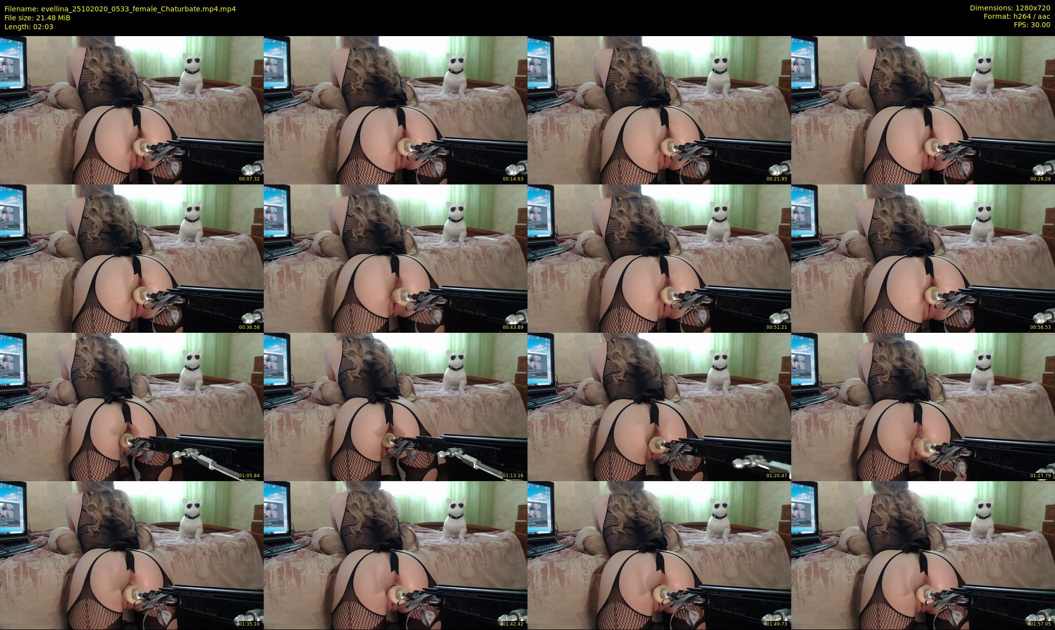 evellina — 3 minute Chaturbate female cam show recording, 720p, Oct 25, 2020