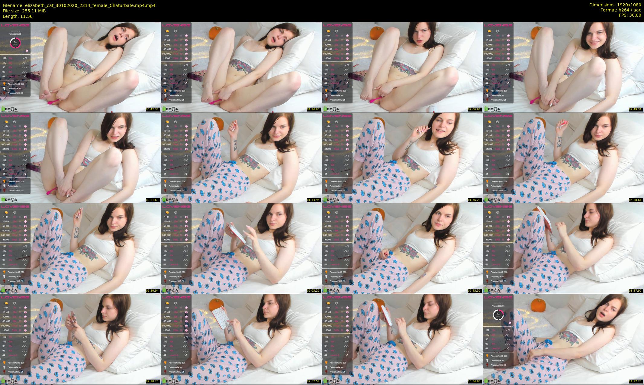 elizabeth_cat — 12 minute Chaturbate female cam show recording, 1080p, Oct 30, 2020