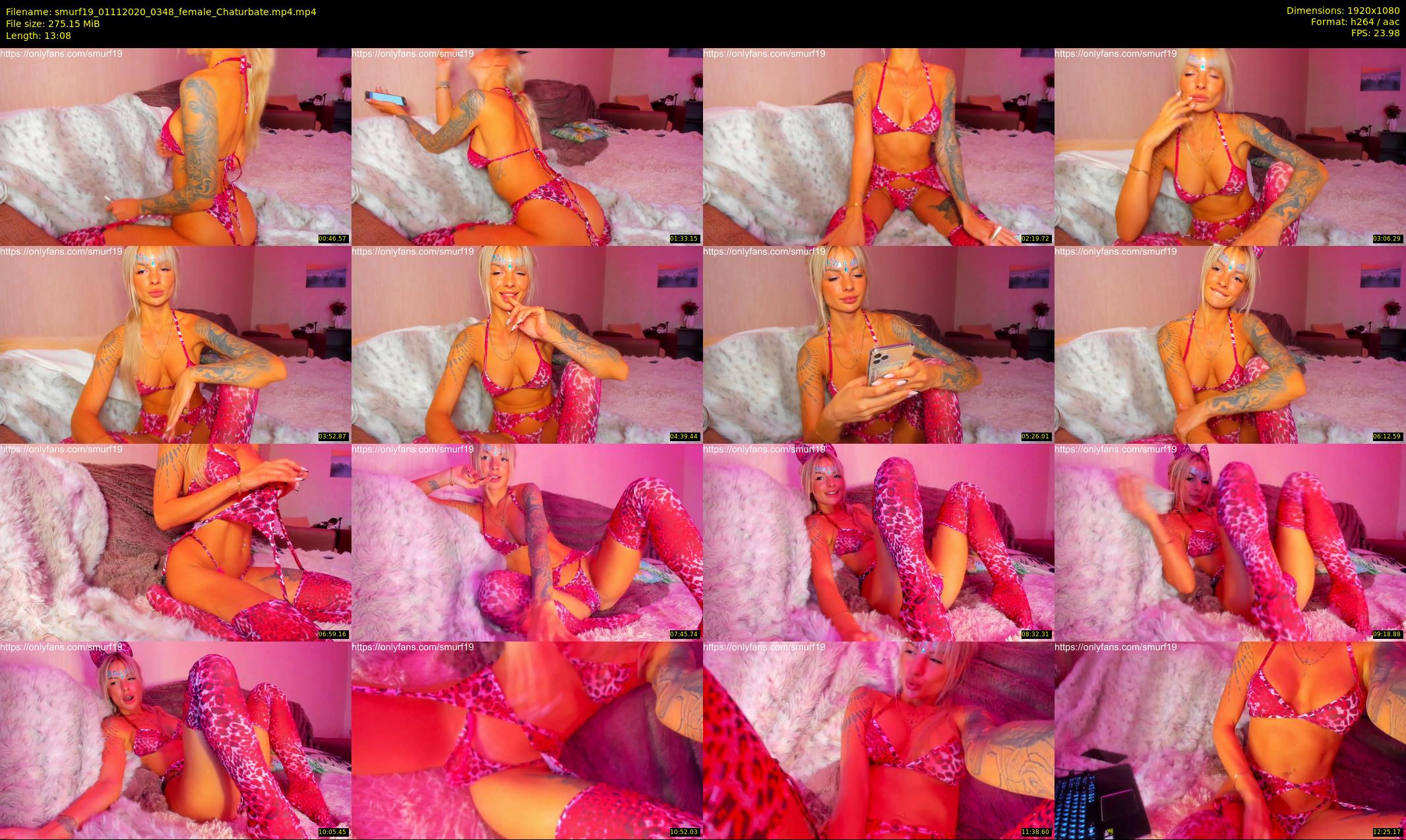 smurf19 — 14 minute Chaturbate female cam show recording, 1080p, Nov 1, 2020