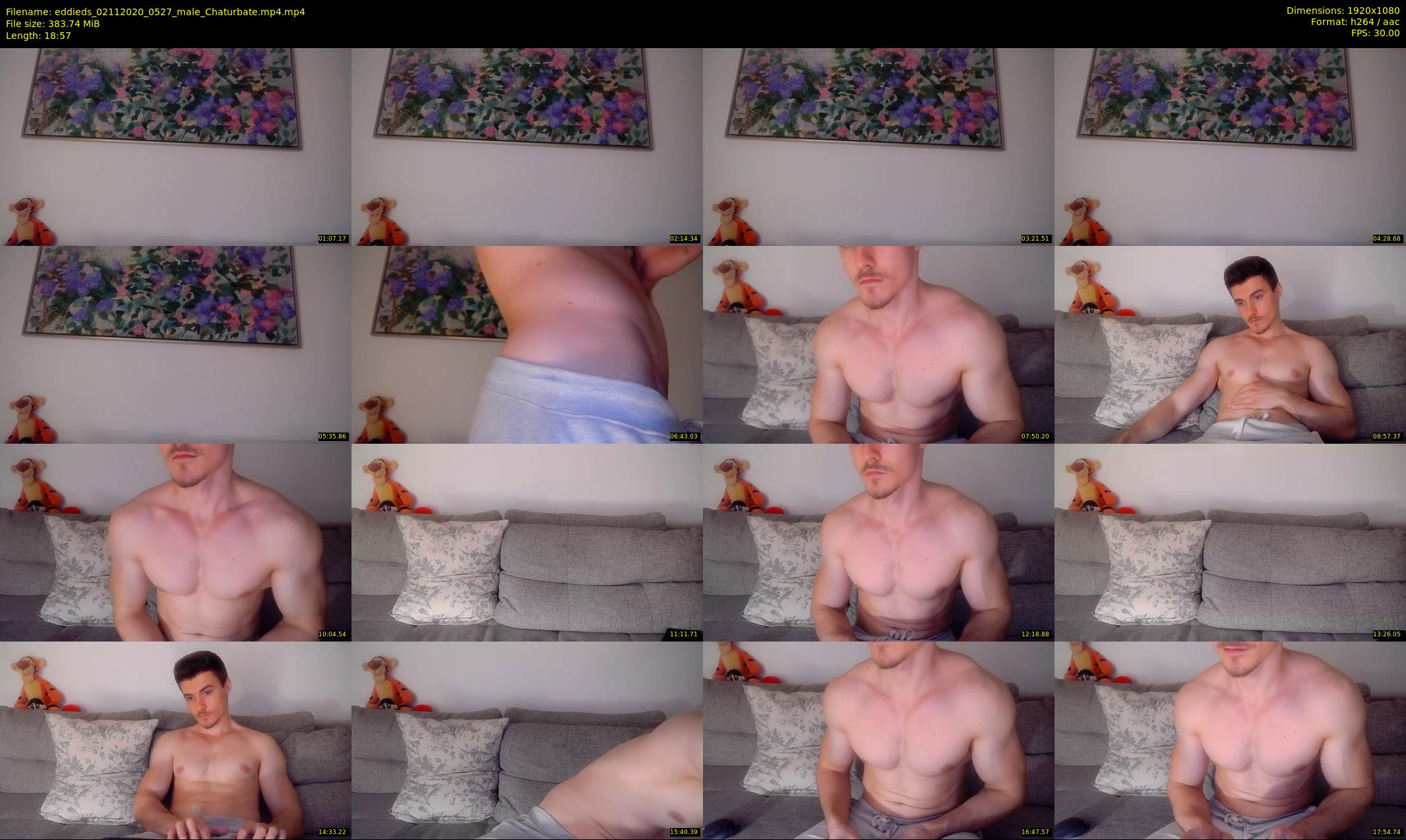eddieds — 19 minute Chaturbate male cam show recording, 1080p, Nov 2, 2020