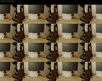 nicky_owl — 38 minute Chaturbate female cam show recording, 720p, Nov 2, 2020