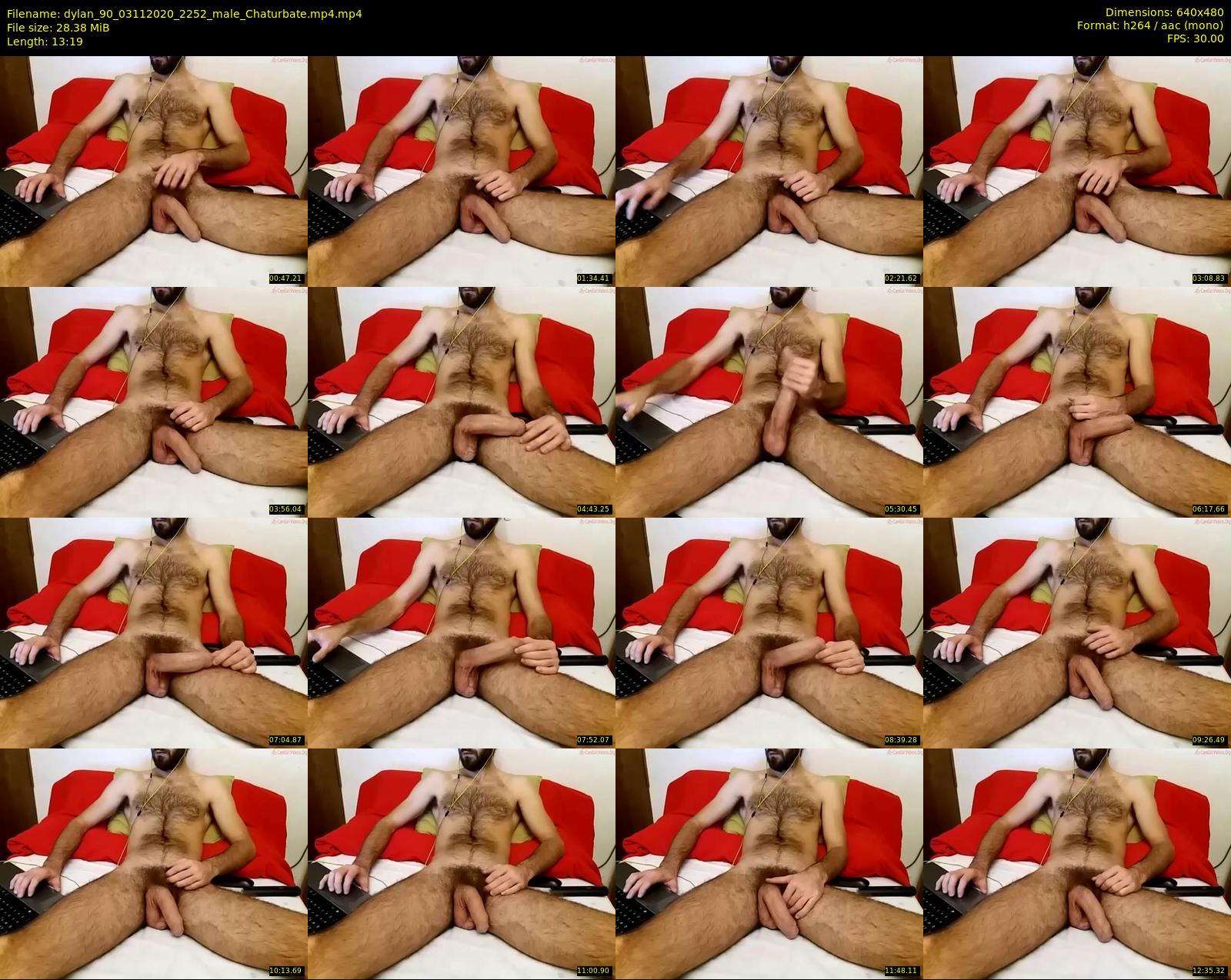 dylan_90 — 14 minute Chaturbate male cam show recording, 480p, Nov 3, 2020