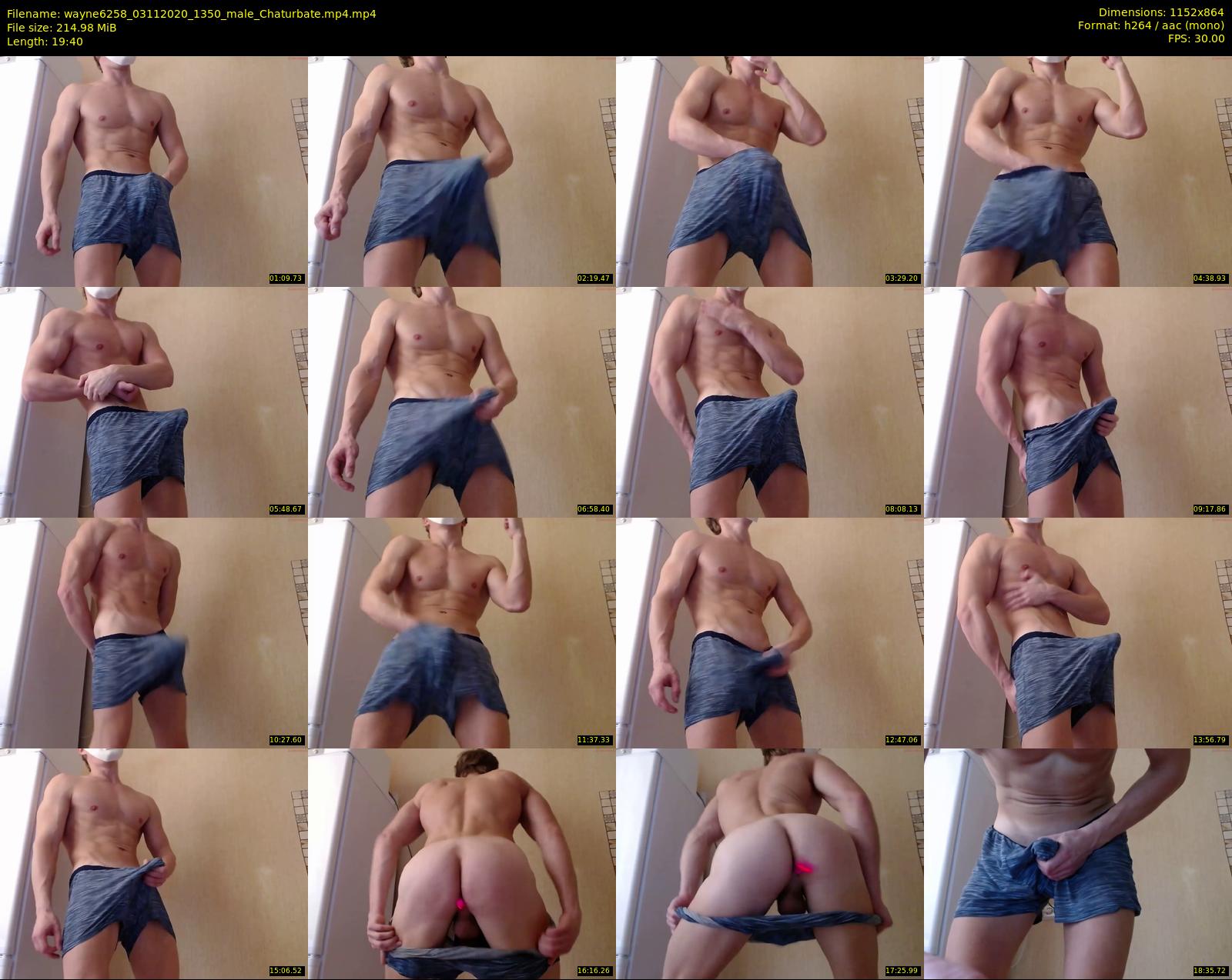 wayne6258 — 20 minute Chaturbate male cam show recording, 720p, Nov 3, 2020