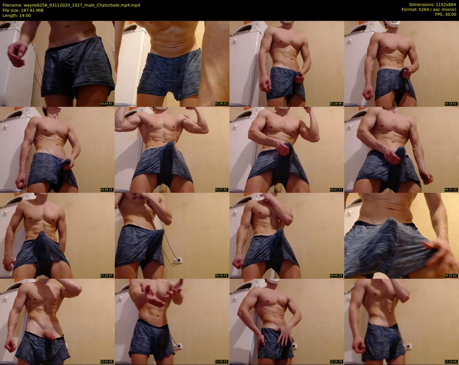 wayne6258 — 14 minute Chaturbate male cam show recording, 720p, Nov 3, 2020