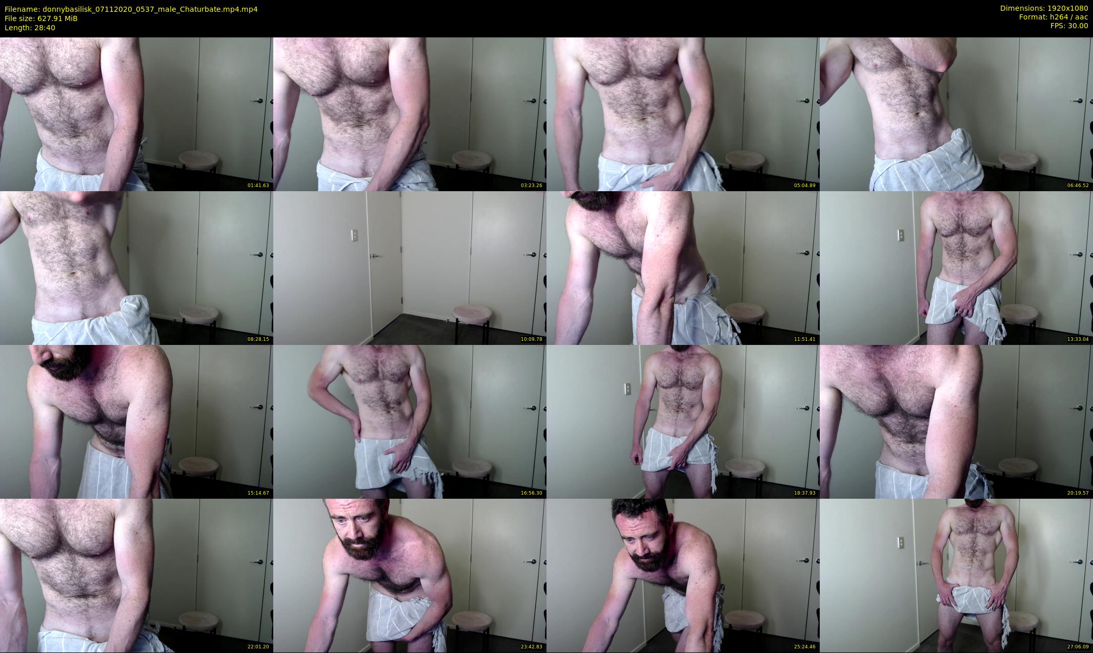 donnybasilisk — 29 minute Chaturbate male cam show recording, 1080p, Nov 7, 2020