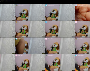 pavlovacolucci — 20 minute Chaturbate female cam show recording, 1080p, Nov 7, 2020