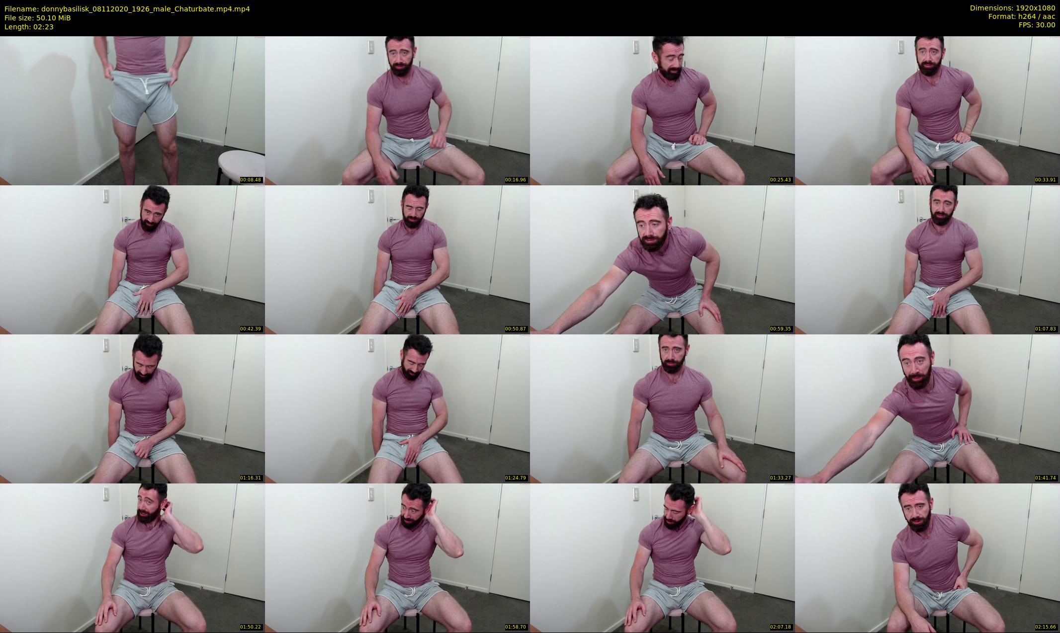 donnybasilisk — 3 minute Chaturbate male cam show recording, 1080p, Nov 8, 2020