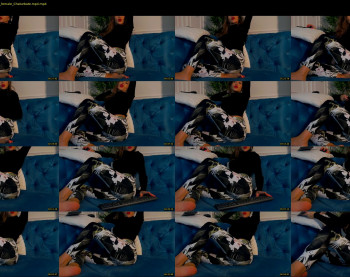 sellenia — 8 minute Chaturbate female cam show recording, 1080p, Nov 8, 2020