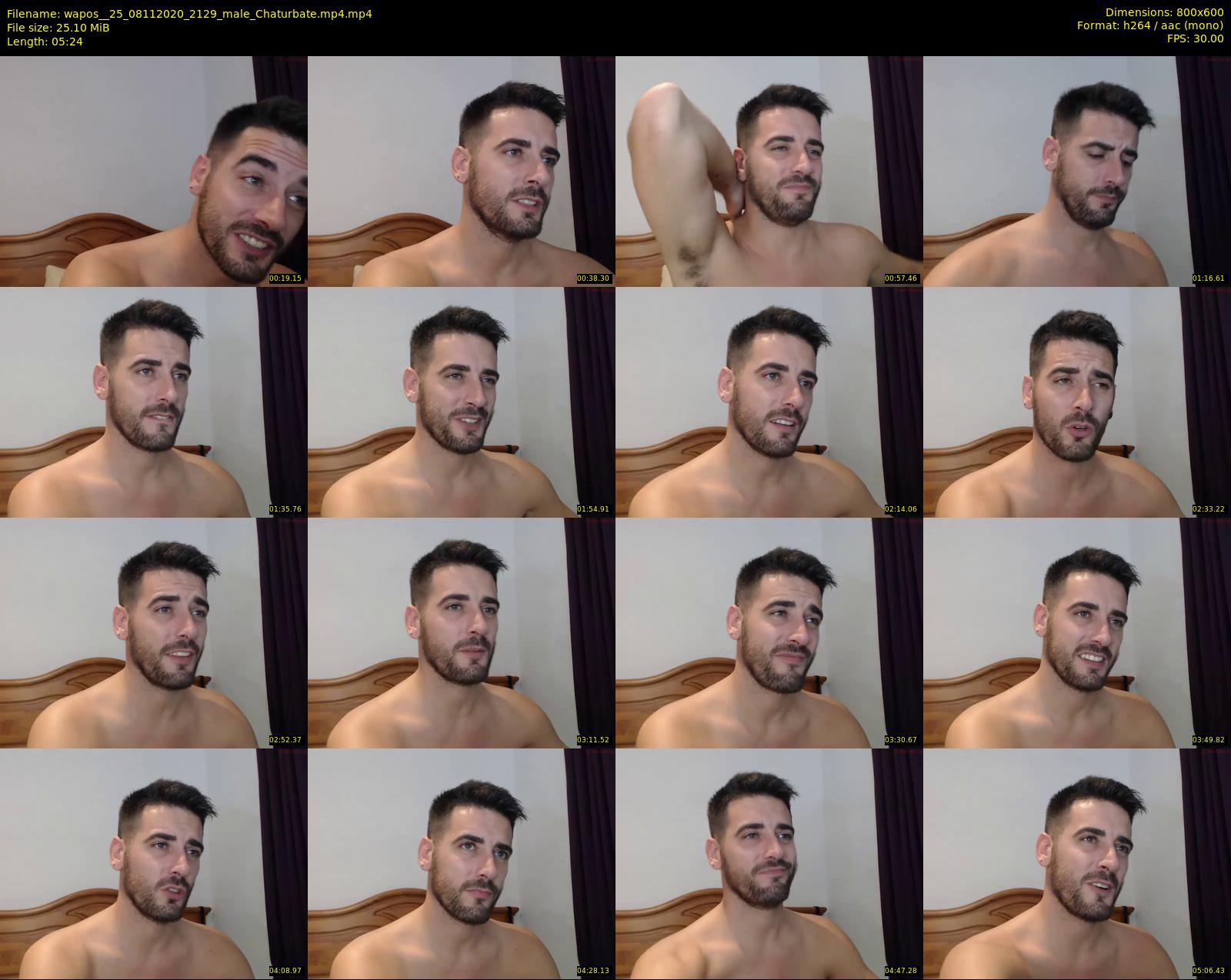 wapos__25 — 6 minute Chaturbate male cam show recording, 480p, Nov 8, 2020