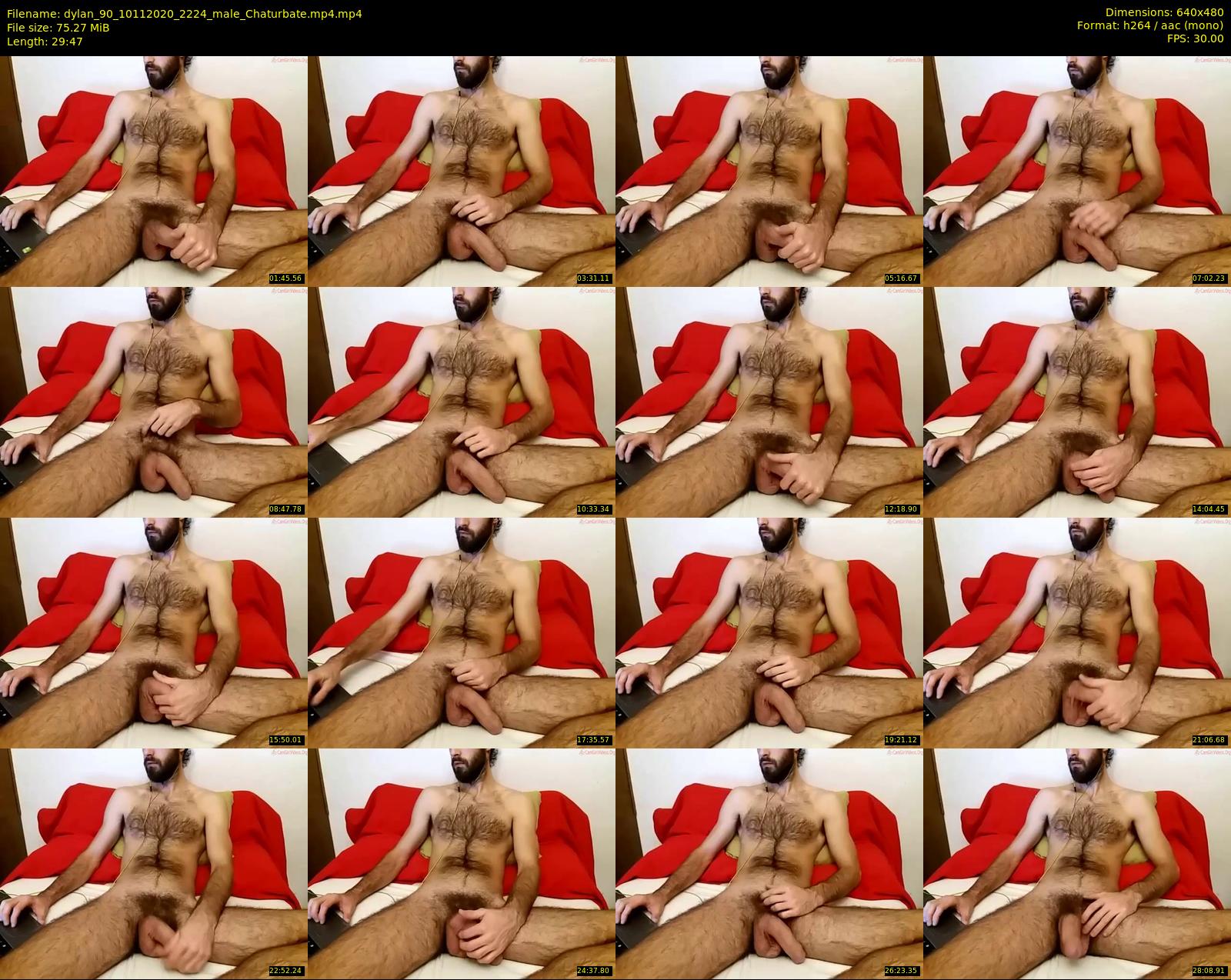 dylan_90 — 30 minute Chaturbate male cam show recording, 480p, Nov 10, 2020