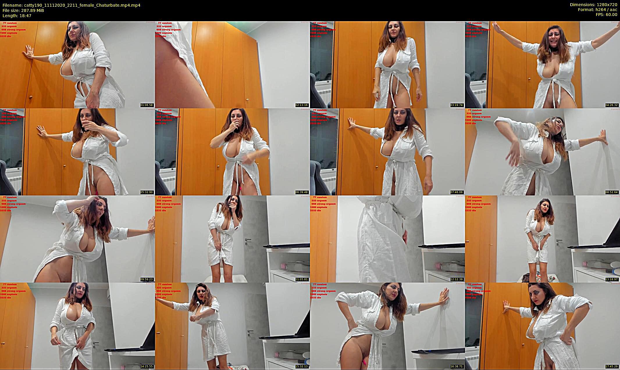 catty190 — 19 minute Chaturbate female cam show recording, 720p, Nov 11, 2020