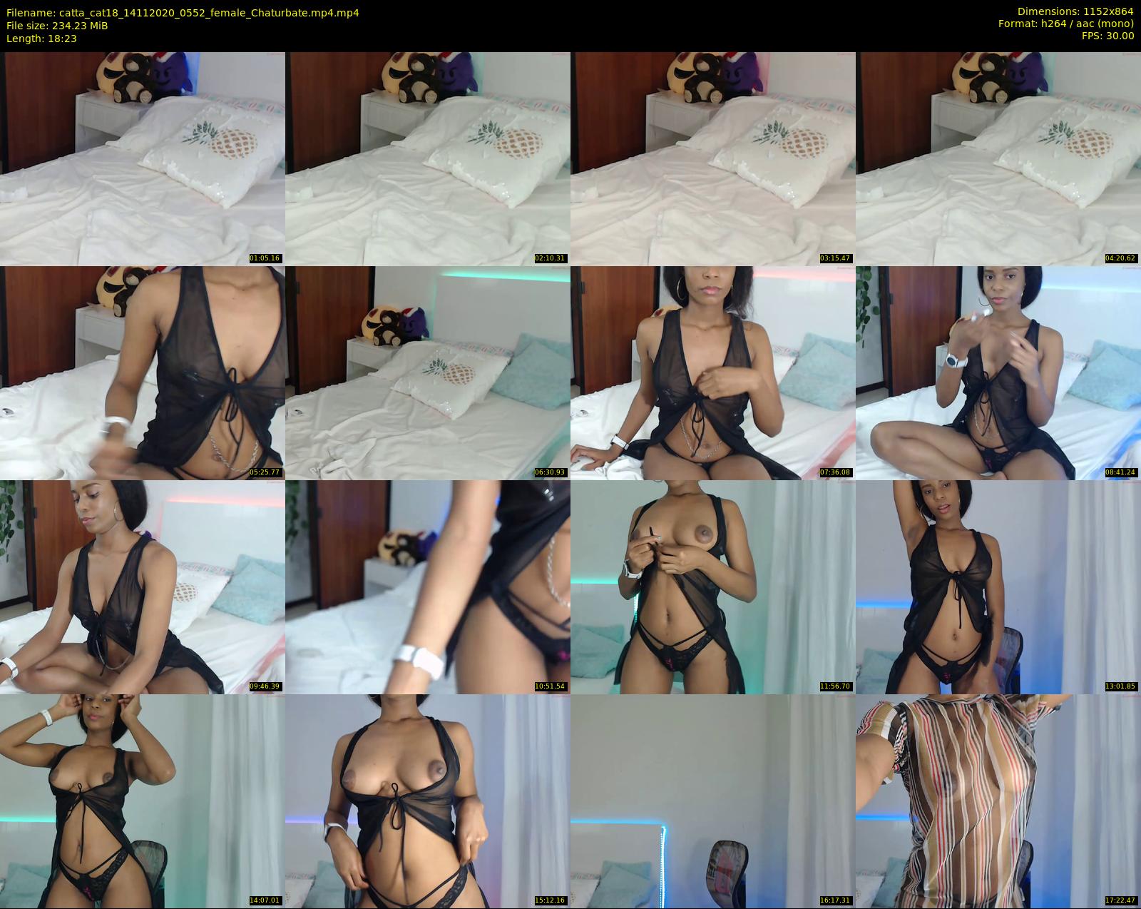 catta_cat18 — 19 minute Chaturbate female cam show recording, 720p, Nov 14, 2020