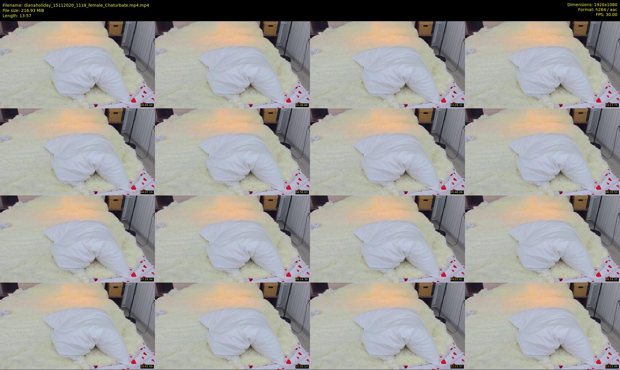 dianaholiday — 14 minute Chaturbate female cam show recording, 1080p, Nov 15, 2020