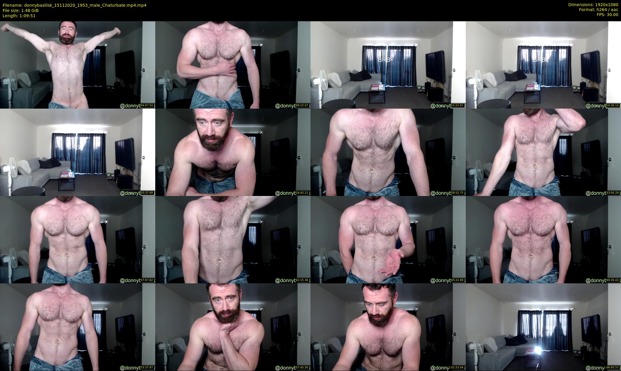 donnybasilisk — 70 minute Chaturbate male cam show recording, 1080p, Nov 15, 2020