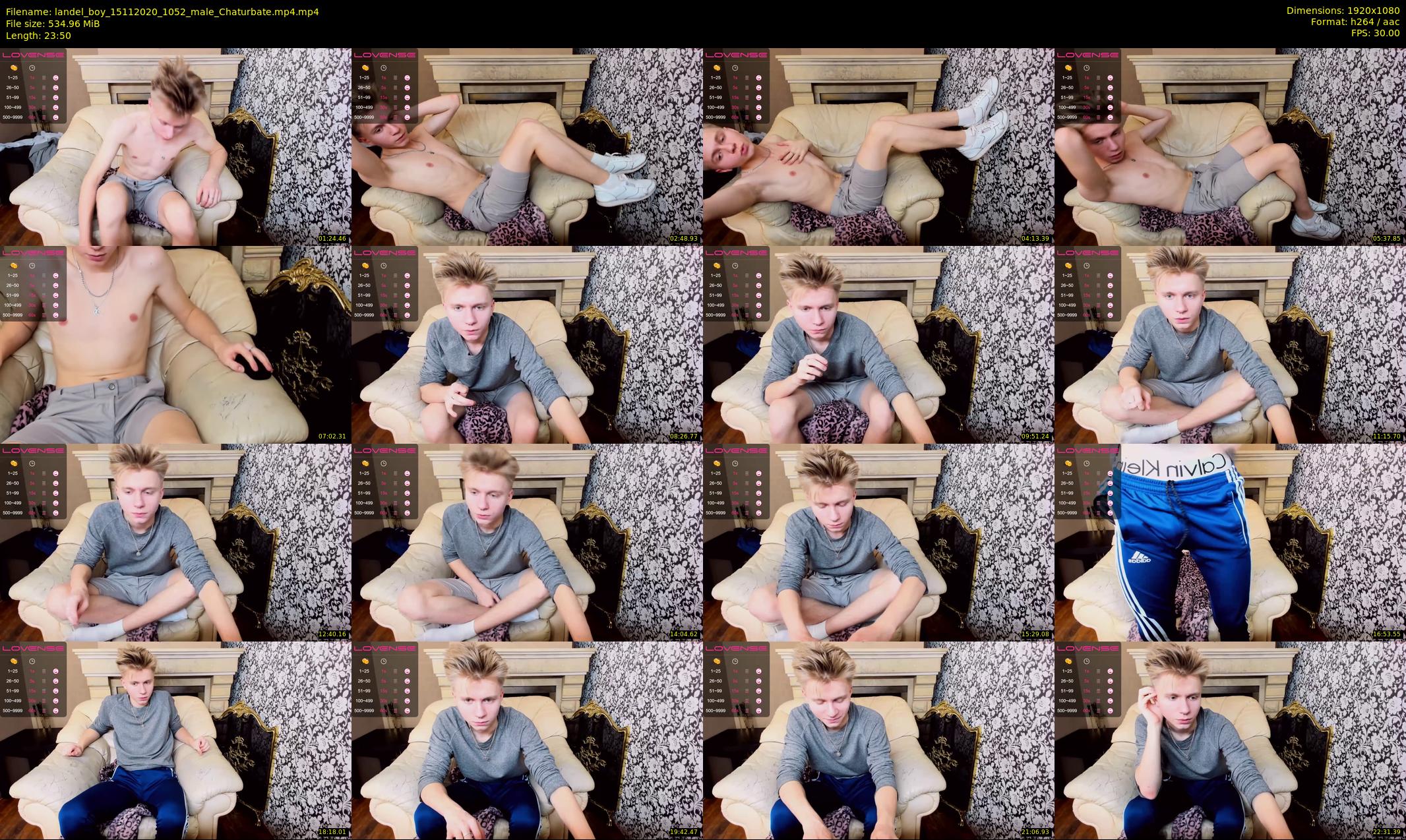 landel_boy — 24 minute Chaturbate male cam show recording, 1080p, Nov 15, 2020