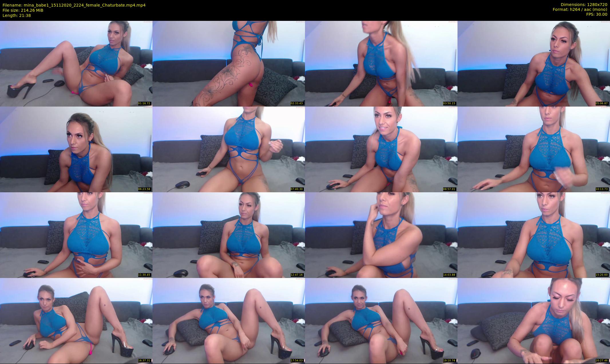 mina_babe1 — 22 minute Chaturbate female cam show recording, 720p, Nov 15, 2020