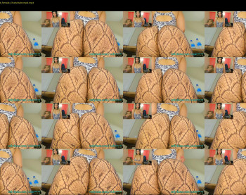oxlemon — 14 minute Chaturbate female cam show recording, 1080p, Nov 15, 2020