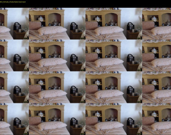 lalaisallbad — 50 minute Chaturbate female cam show recording, 720p, Nov 20, 2020