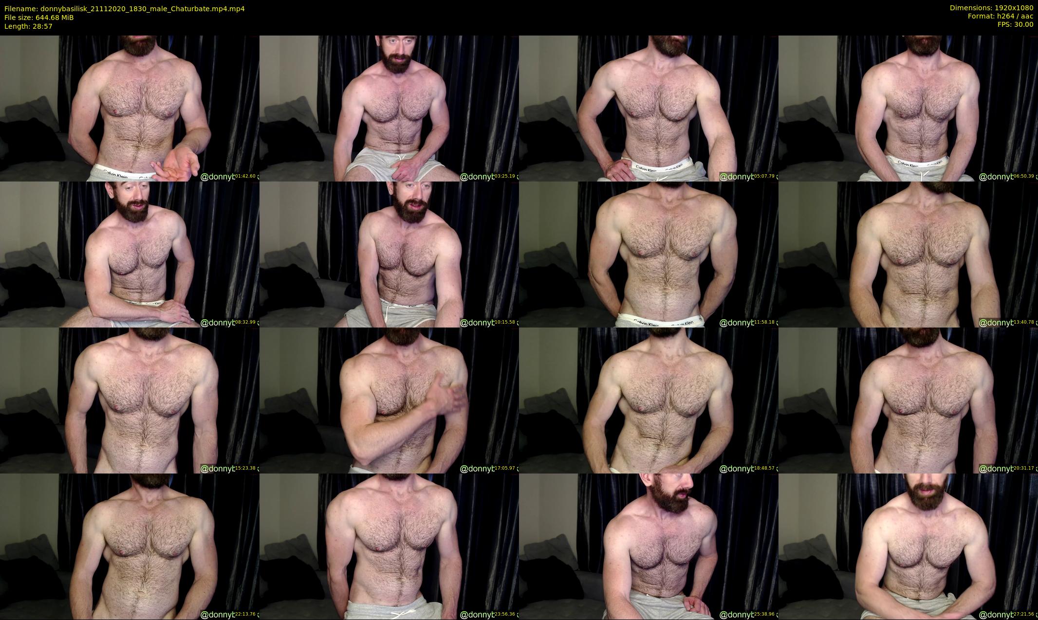 donnybasilisk — 29 minute Chaturbate male cam show recording, 1080p, Nov 21, 2020