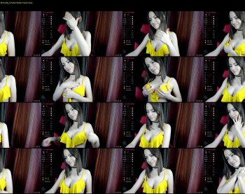 like_pie — 24 minute Chaturbate couple cam show recording, 1080p, Nov 23, 2020