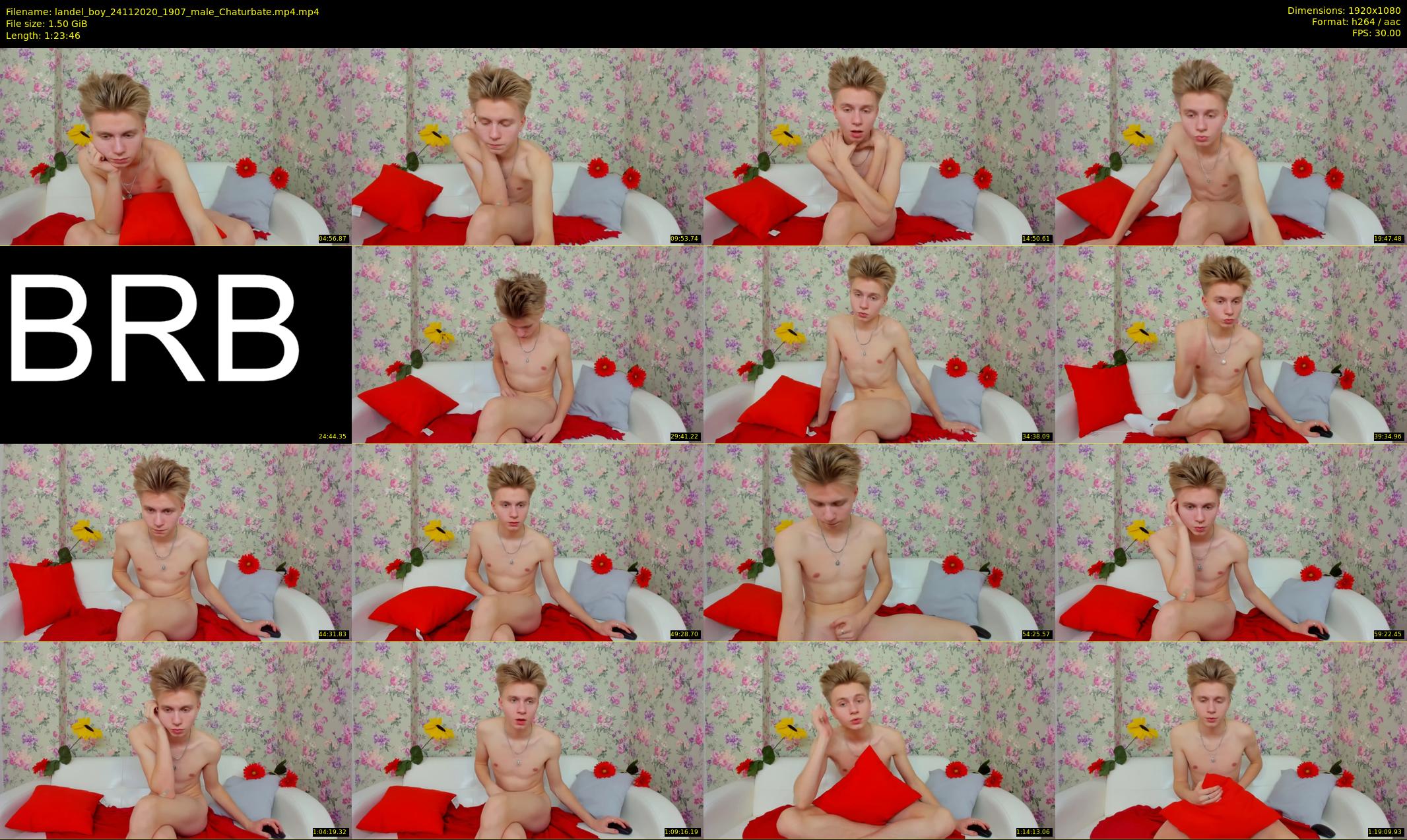 landel_boy — 84 minute Chaturbate male cam show recording, 1080p, Nov 24, 2020