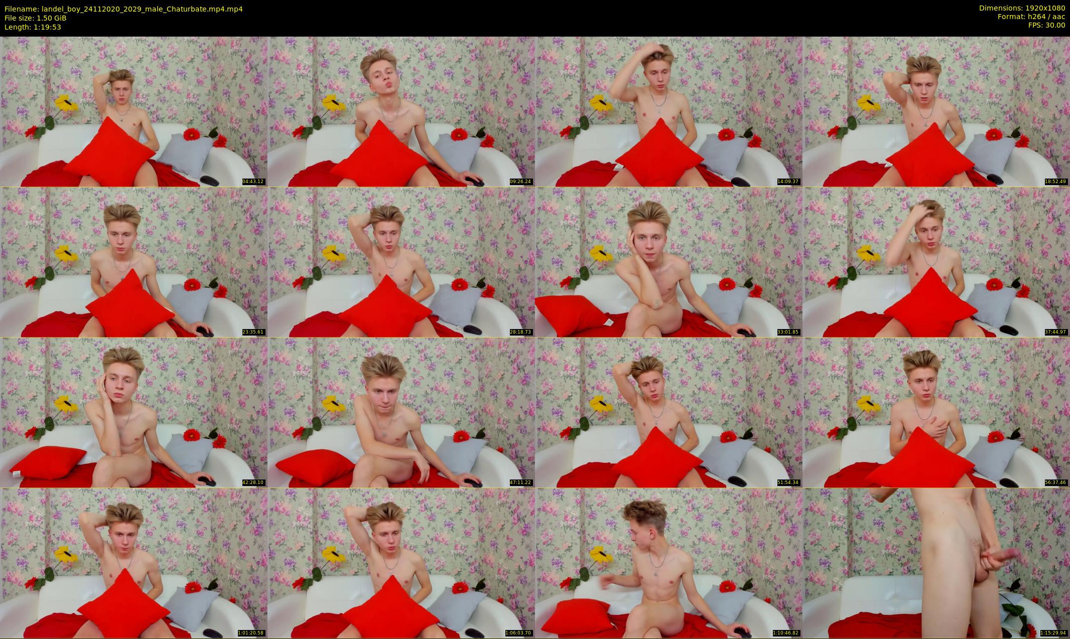 landel_boy — 80 minute Chaturbate male cam show recording, 1080p, Nov 24, 2020