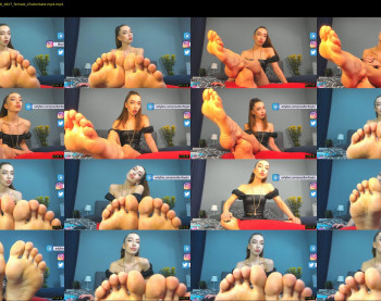 presidenttaylor — 36 minute Chaturbate female cam show recording, 720p, Nov 24, 2020