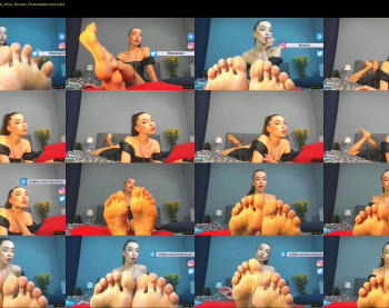 presidenttaylor — 36 minute Chaturbate female cam show recording, 720p, Nov 24, 2020